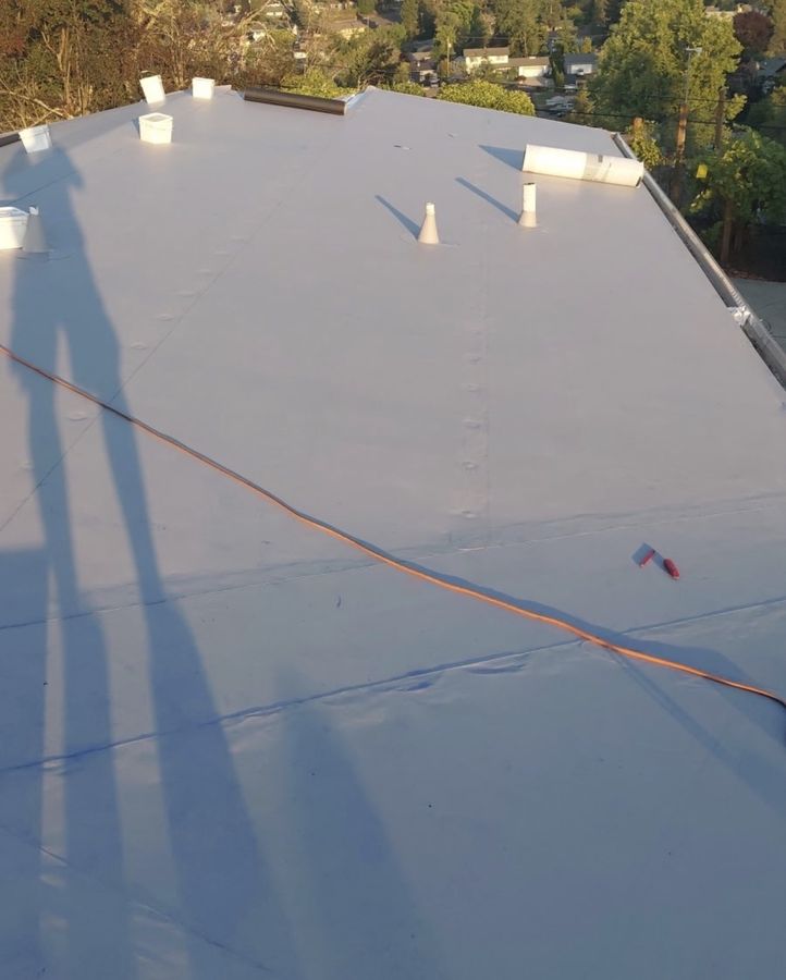 White TPO membrane flat roof